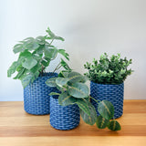 round 'catch all' / planters ~ interweave