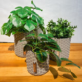 boxi planters ~ interweave