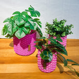 boxi planters ~ interweave